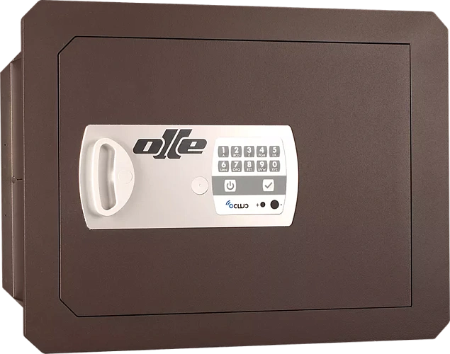 Seyf OLLE 1002E25