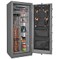 Seyf s biometricheskim zamkom Iron Fort® 6528 BEL GYM CH-фото_1