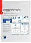 Seyf Metalk Principe 1737564 ATL Key-фото_3