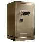 Seyf AIPU Gold Shark FDG-A1/D-100JZ-фото_1