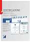 Seyf Metalk Panda 1026540 T Key-фото_6